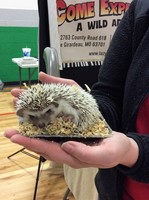 Ste. Gen Elementary Preschool/ Early Childhood Animal Fun